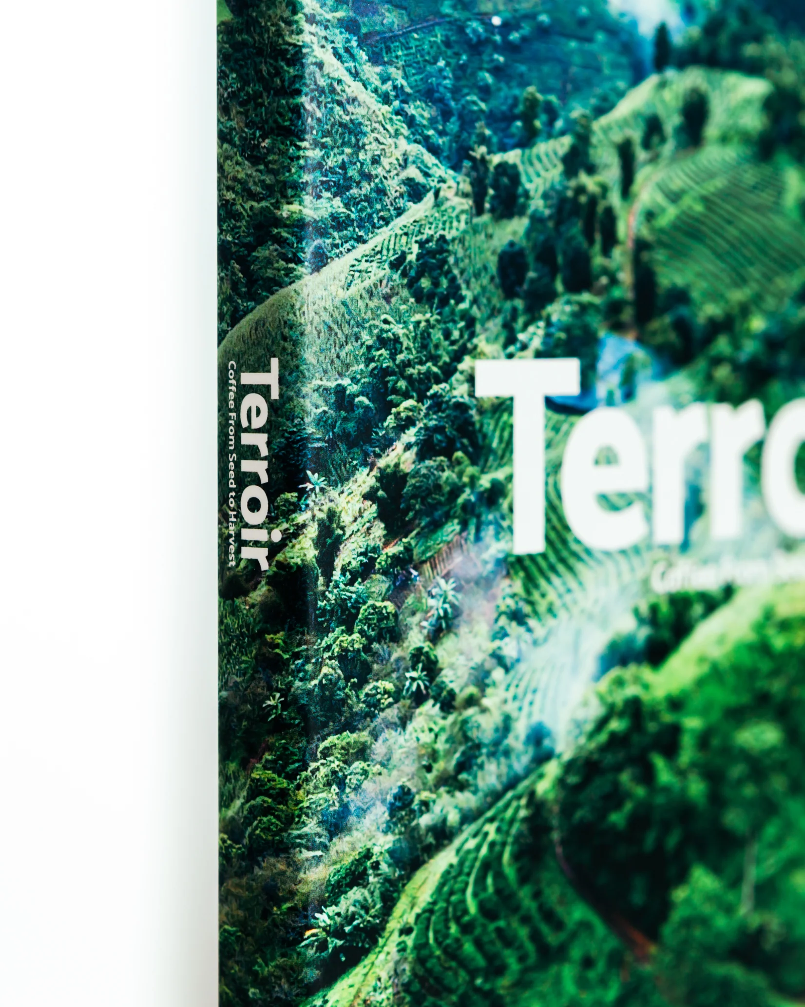 Terroir Coffee from Seed to Harvest - Image 3