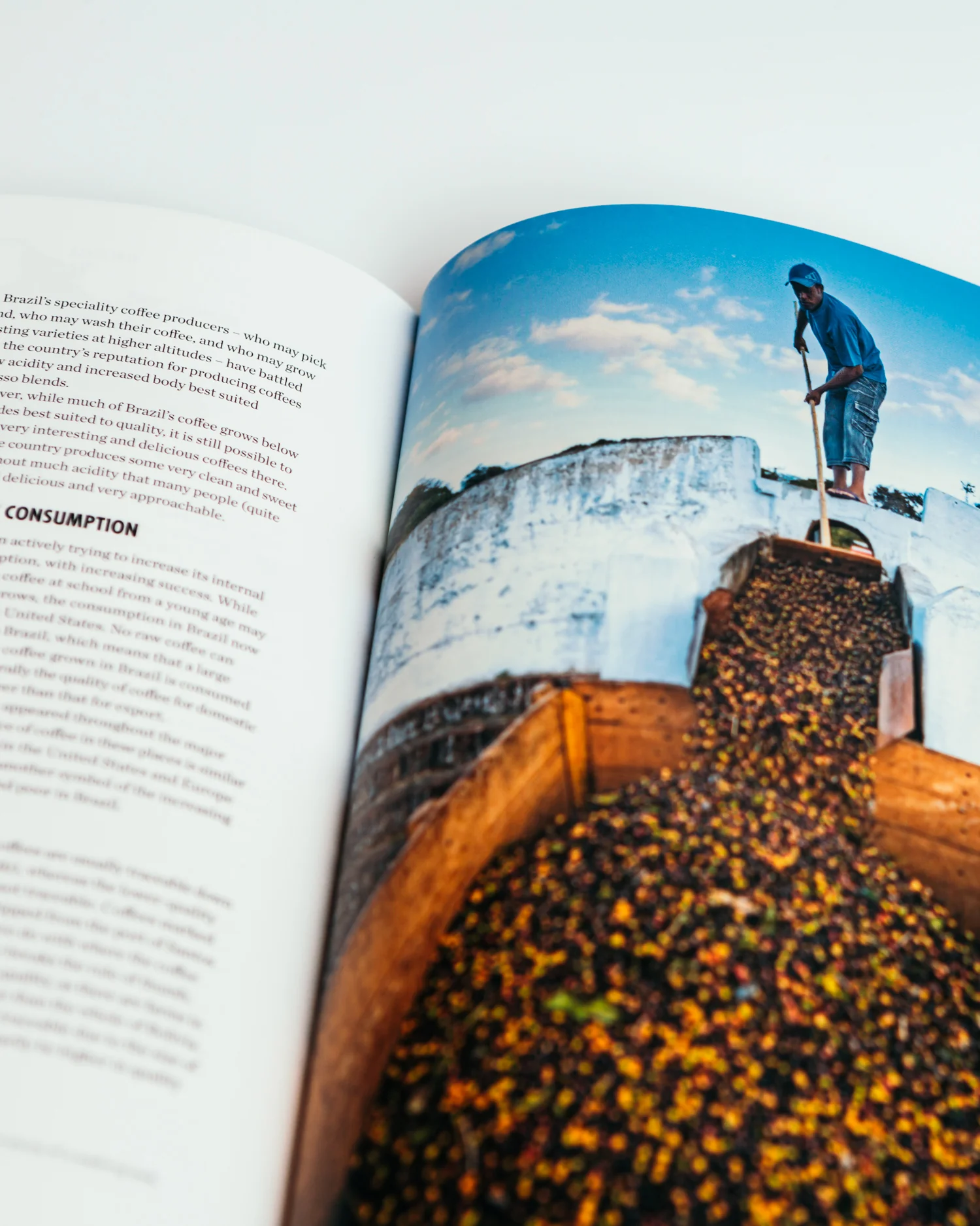 The World Atlas of Coffee - 2nd Edition - Image 5
